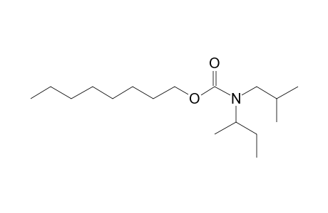 Carbonic acid, monoamide, N-(2-butyl)-N-isobutyl-, octyl ester