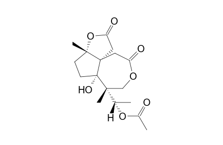 Oligandrumin B