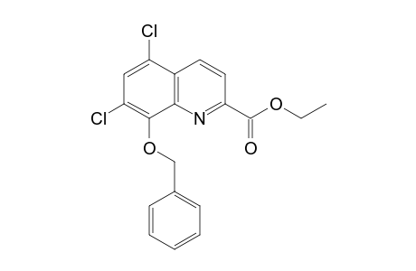 8-(benzyloxy)-5,7-dichloroquinaldic acid, ethyl ester