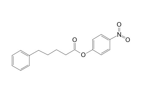 5-Phenylvaleric acid, 4-nitrophenyl ester