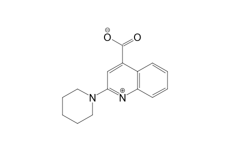 2-piperidinocinchoninic acid