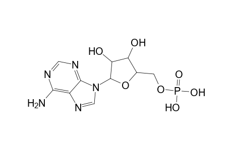 Adenosine monophosphate