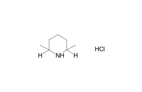 2,6-Dimethylpiperidine hydrochloride
