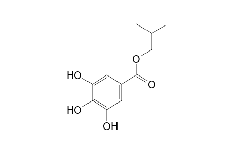gallic acid, isobutyl ester