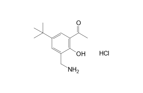 3'-(aminomethyl)-5'-tert-butyl-2'-hydroxyacetophenone, hydrochloride