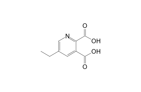 5-Ethylpyridine-2,3-dicarboxylic acid