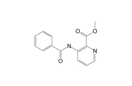 METHYL-3-BENZOYL-AMINOPICOLINATE