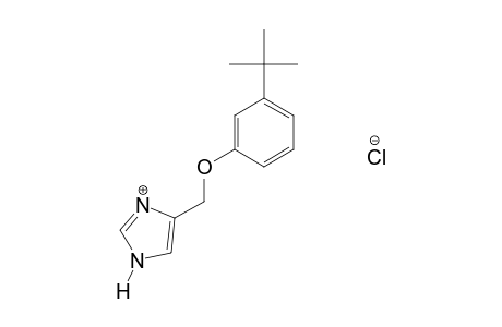 4-[(m-tert-butylphenoxy)methyl]imidazole, monohydrochloride