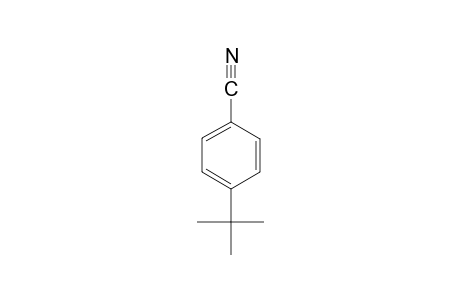 4-tert-Butylbenzonitrile