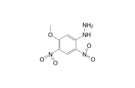 2,4-dinitro-5-methoxyphenylhydrazine