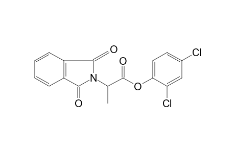 D,L-1,3-dioxo-a-methyl-2-isoindolineacetic acid, 2,4-dichlorophenyl ester