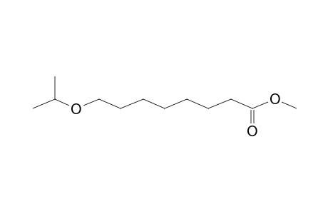 8-Isopropoxy-octanoic acid, methyl ester