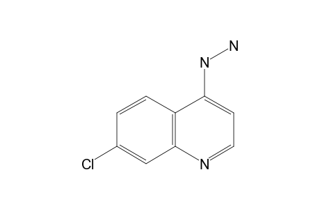 7-Chloro-4-hydrazinoquinoline
