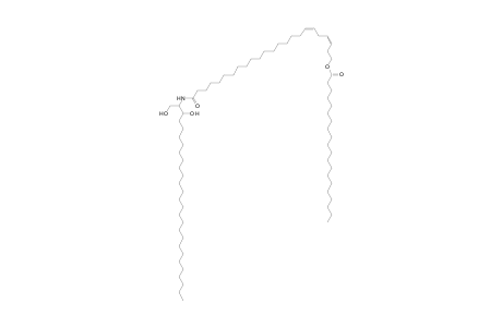 Cer 27:0;2O/24:2;O(FA 20:0)