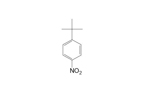 1-tert-Butyl-4-nitrobenzene