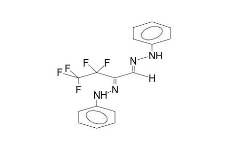 PERFLUOROETHYLGLYOXAL, BIS(PHENYLHYDRAZONE)