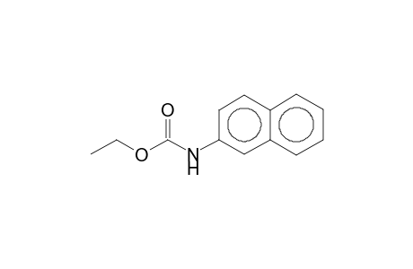 Ethyl 2-naphthylcarbamate