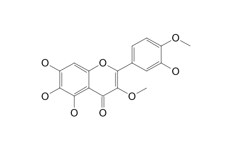 3-Methoxy-2-(4-methoxy-3-oxidanyl-phenyl)-5,6,7-tris(oxidanyl)chromen-4-one