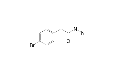 2-(4-Bromophenyl)acetohydrazide