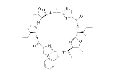 PATELLAMIDE_G