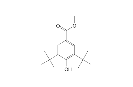 3,5-Di-tert-butyl-4-hydroxy-benzoic acid, methyl ester