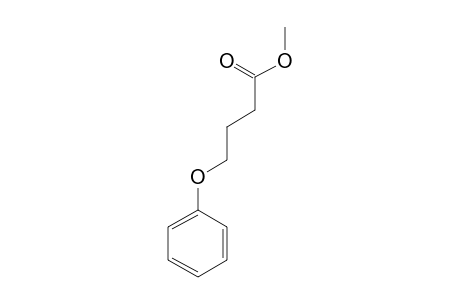 Butanoic acid, 4-phenoxy-, methyl ester