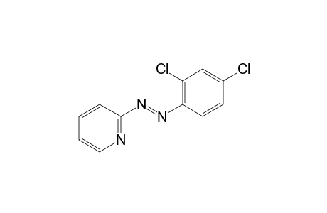 2-(2,4-dichlorophenylazo)pyridine