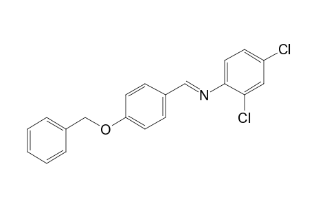 Benzene, 1-benzyloxy-4-(2,4-dichlorophenyliminomethyl)-