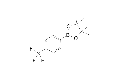 4-(4,4,5,5-TETRAMETHYL-1,3,2-DIOXABOROLANE-2-YL)-BENZOTRIFLUORIDE