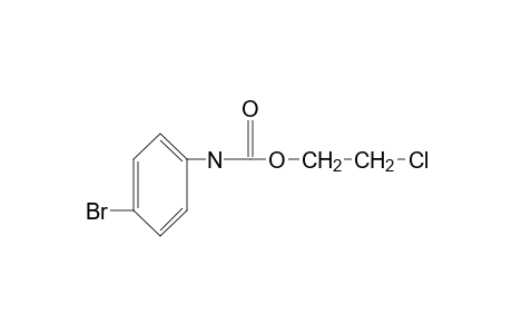 p-bromocarbanilic acid, 2-chloroethyl ester