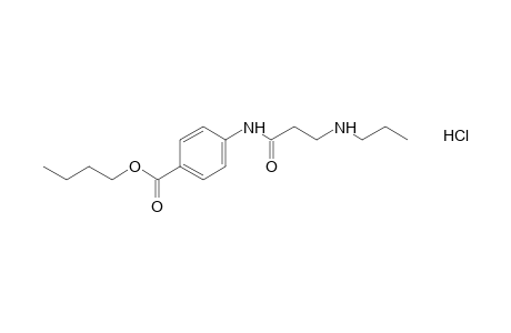 p-[3-(propylamino)propionamido]benzoic acid, butyl ester hydrochloride