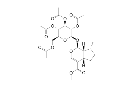 TETRAACETYL-7-DEOXY-8-EPI-LOGANIN