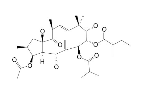 (2S,3S,4R,5R,7S,8S,9S,11E,13S,15R)-3,5,7,8,9,15-HEXAHYDROXYJATROPHA-6(17),11-DIEN-14-ONE-3-ACETATE-7-(2-METHYLPROPIONATE)-8-(2-METHYLBUTYRATE)