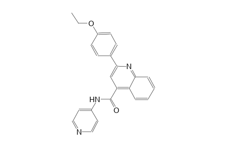 2-(4-ethoxyphenyl)-N-(4-pyridinyl)-4-quinolinecarboxamide