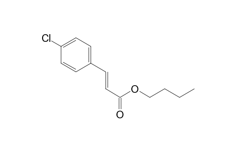 Butyl (E)-4-chlorocinnamate