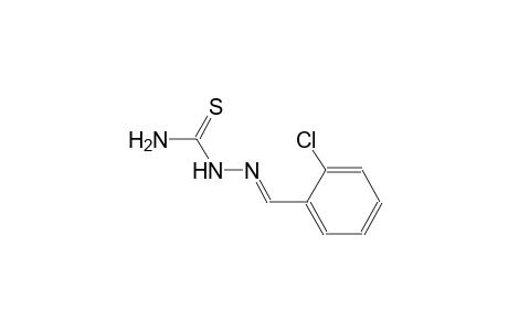 1-(o-chlorobenzylidene)-3-thiosemicarbazide