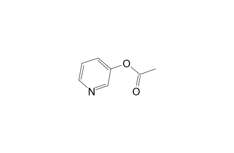 3-Pyridinol, acetate (ester)