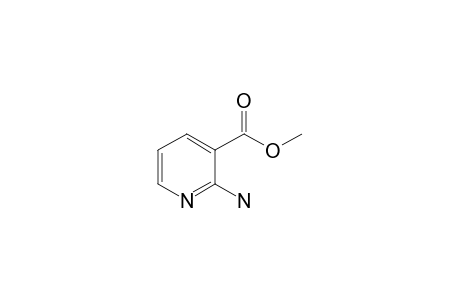 Methyl 2-aminonicotinate