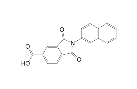 1,3-Diketo-2-(2-naphthyl)isoindoline-5-carboxylic acid