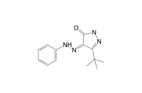 3-tert-butylpyrazole-4,5-dione, 4-phenylhydrazone