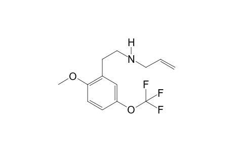 5TF-2C-H ALL