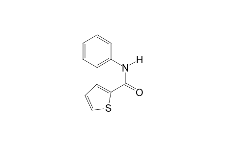 N-Phenylthiophene-2-carboxamide