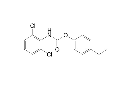 2,6-dichlorocarbanilic acid, p-cumenyl ester