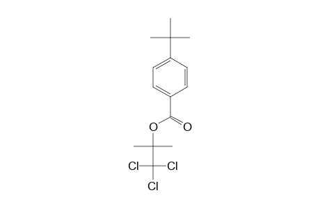 2,2,2-TRICHLORO-1,1-DIMETHYLETHYL-4-TERT.-BUTYLBENZOATE