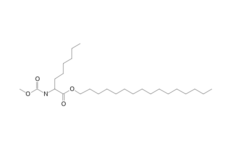 2-Aminocaprylic acid, N-methoxycarbonyl-, hexadecyl ester