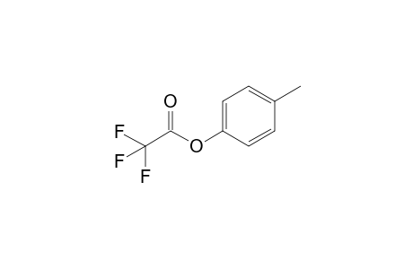 4-Methylphenyl trifluoroacetate