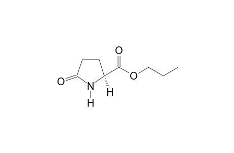 5-oxo-L-Proline propyl ester