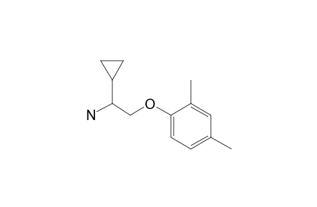 1-(2-Amino-2-cyclopropylethoxy)-2,4-dimethylbenzene