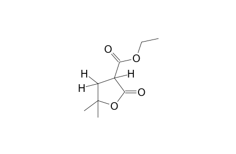 5,5-dimethyl-2-oxotetrahydro-3-fuoric acid, ethyl ester