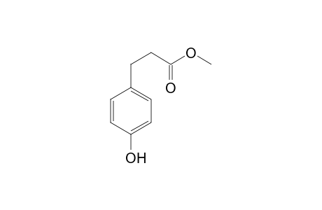 Methyl 3-(4-hydroxyphenyl)propionate